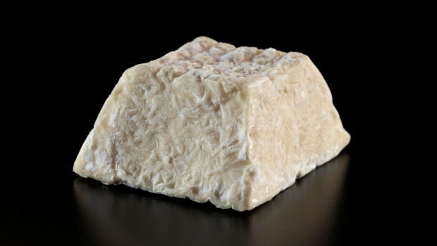 Sabot de Blanchette (Le) - Fromagerie la Suisse Normande