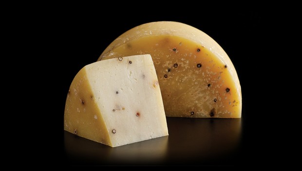  - Fromagerie le Mouton Blanc